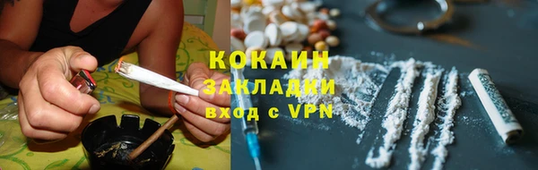 шишки Наволоки