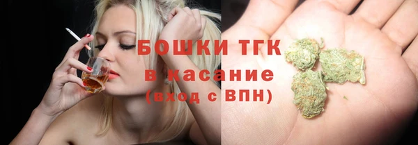 гидра Надым
