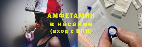 гидра Надым