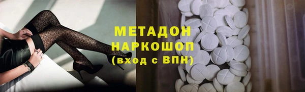 гидра Надым