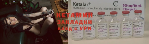 шишки Наволоки