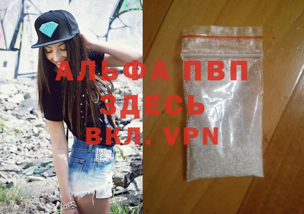гидра Надым