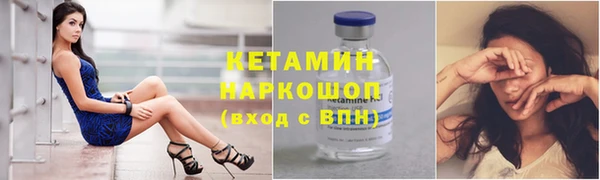 гидра Надым