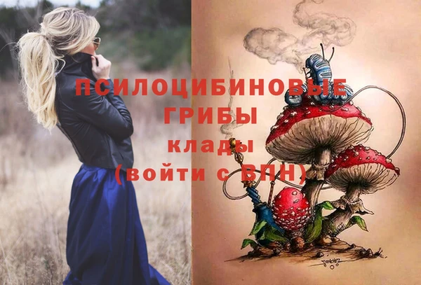 гидра Надым