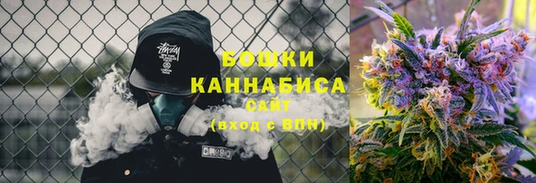 шишки Наволоки