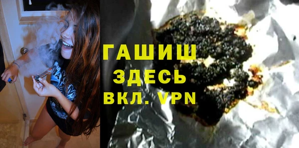 гидра Надым