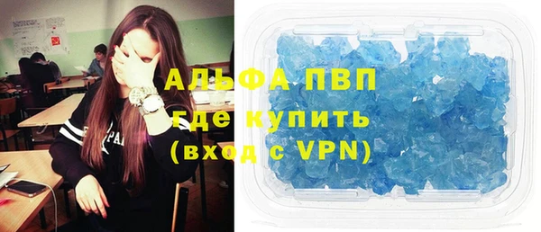 гидра Надым