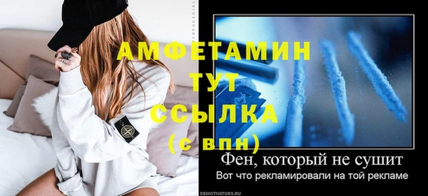 гидра Надым
