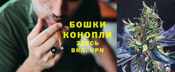 мдпв Навашино