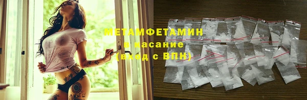 гидра Надым