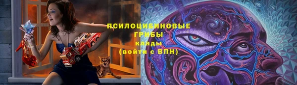 мдпв Навашино