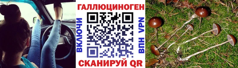 Галлюциногенные грибы ЛСД  сколько стоит  Спас-Клепики 