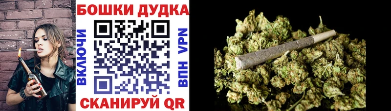 KRAKEN ONION  Спас-Клепики  Бошки марихуана White Widow 